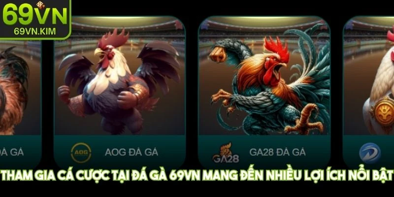 Tham gia cá cược tại đá gà 69VN mang đến nhiều lợi ích nổi bật cho người chơi